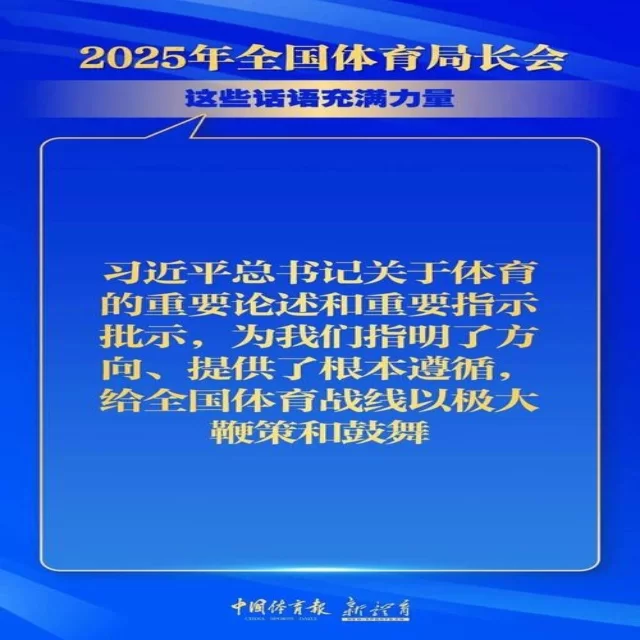 深入分析赛事动态，第374组阵容策略全景解读